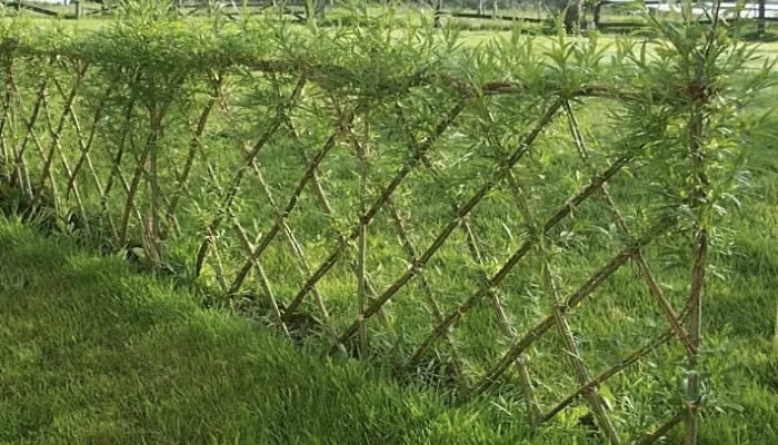 Fence Rental For Farming